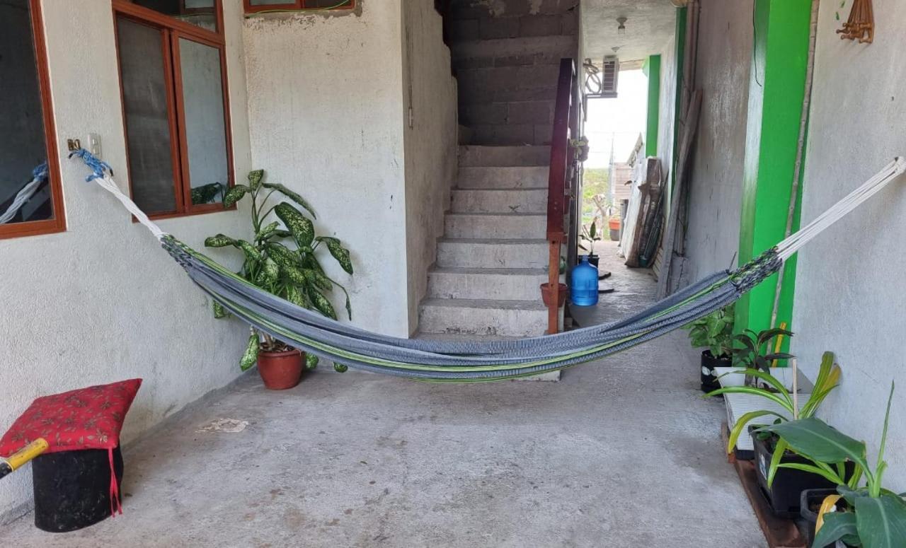 شقة La Casa De Amelia بويرتو بكويريزو مورينو المظهر الخارجي الصورة